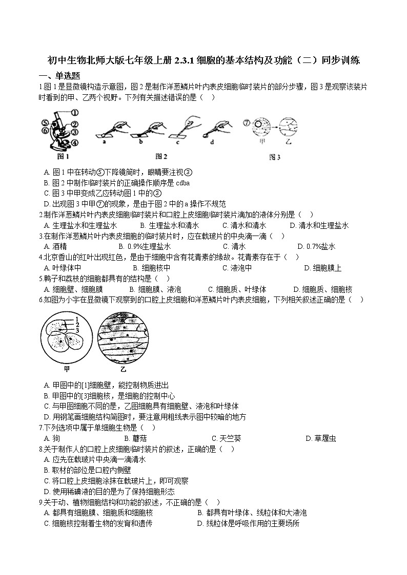 2.3.1细胞的基本结构及功能(二)同步训练(含解析)第1页