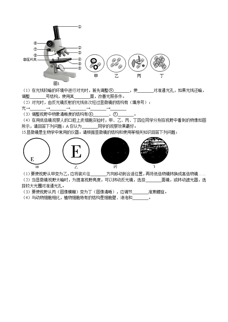 北师大生物七年级上册2.3.1细胞的基本结构和功能(一) 同步训练(含解析)03