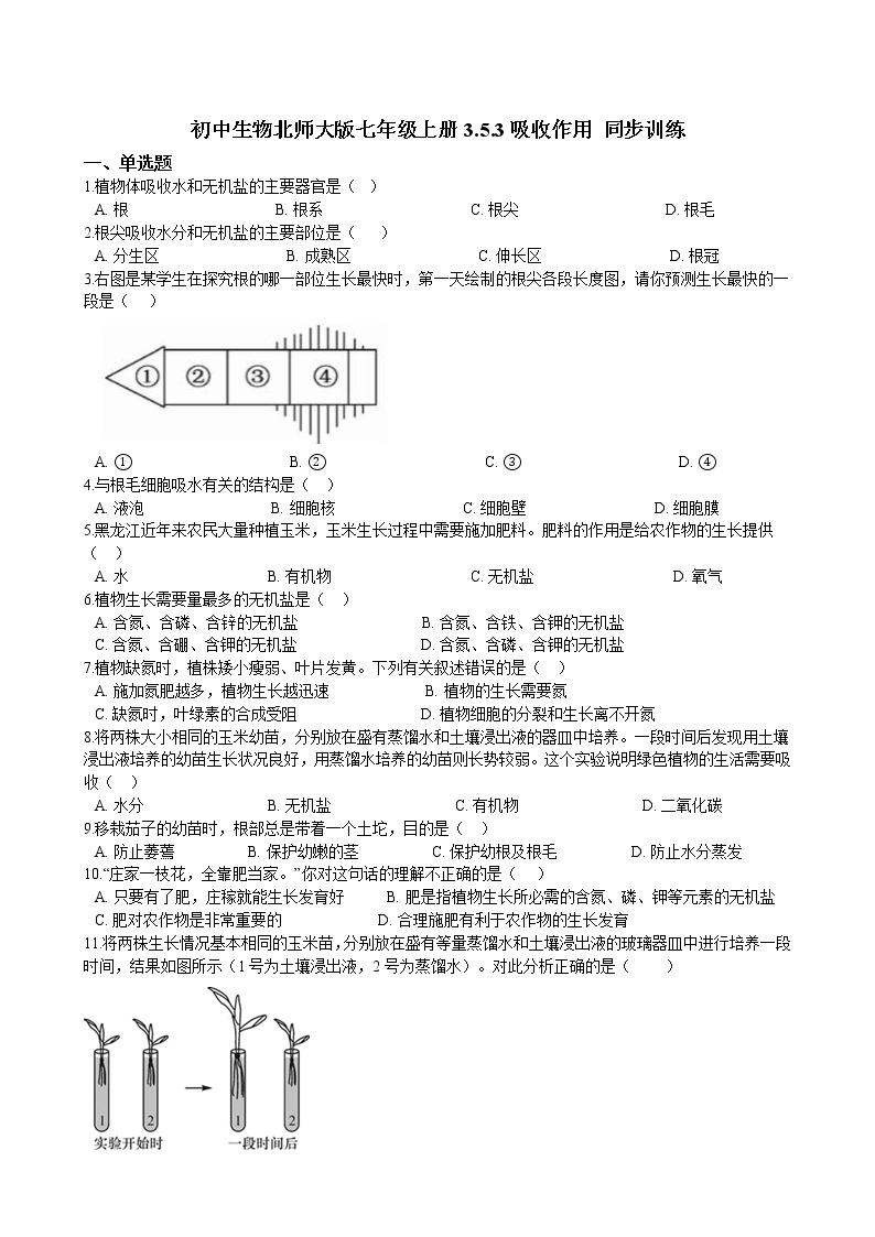 北师大生物七年级上册3.5.3吸收作用 同步训练（含解析）01