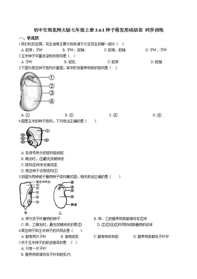 北师大生物七年级上册3.6.1种子萌发形成幼苗 同步训练(含解析)01