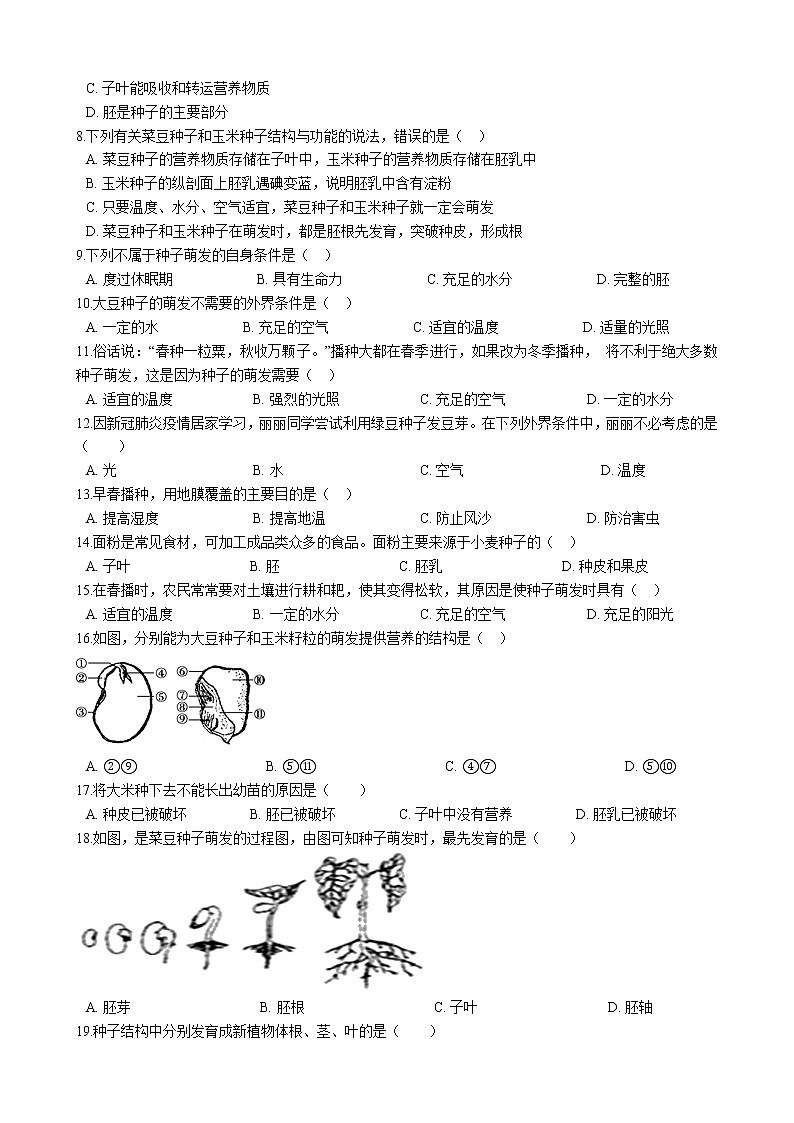 北师大生物七年级上册3.6.1种子萌发形成幼苗 同步训练(含解析)02
