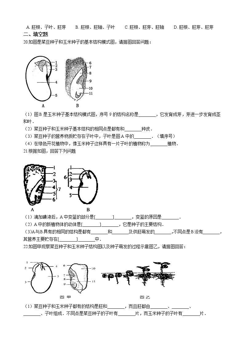 北师大生物七年级上册3.6.1种子萌发形成幼苗 同步训练(含解析)03