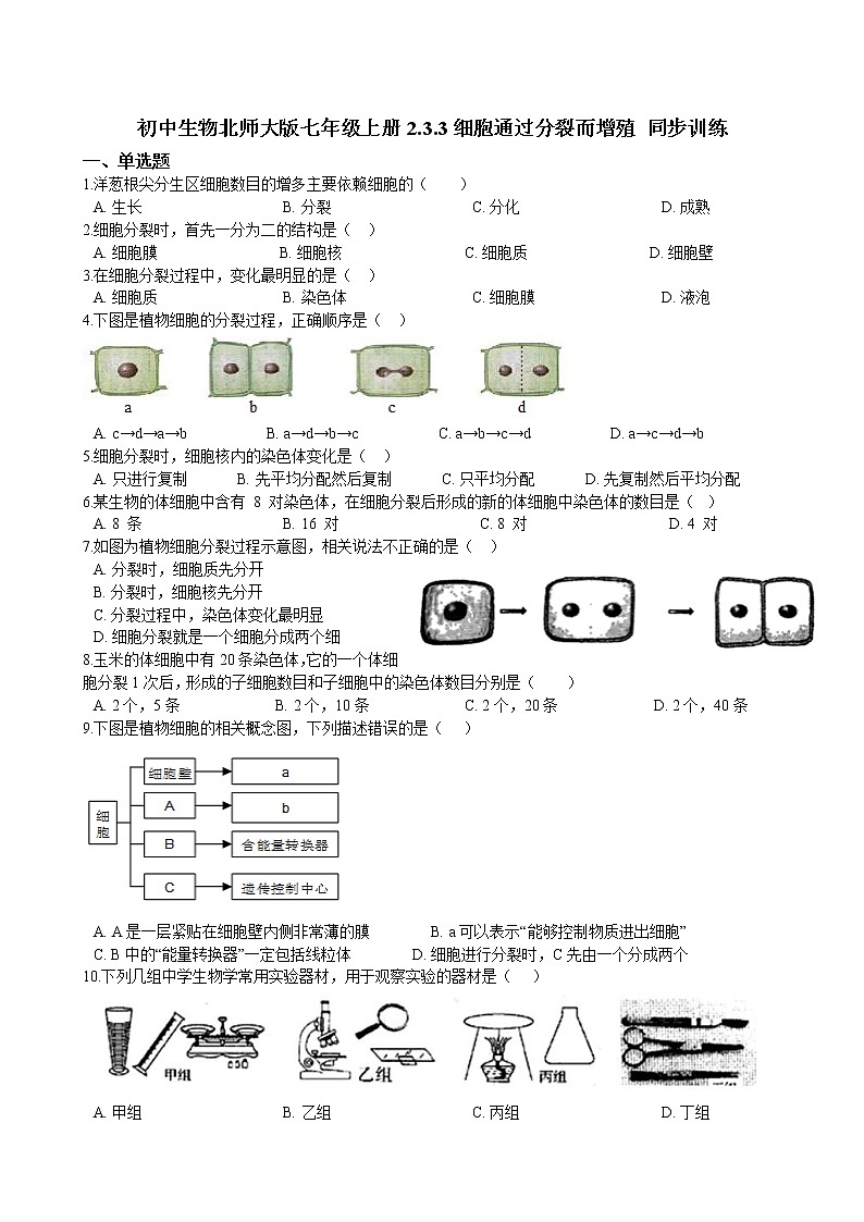 2.3.3细胞通过分裂而增殖 同步训练(含解析)01