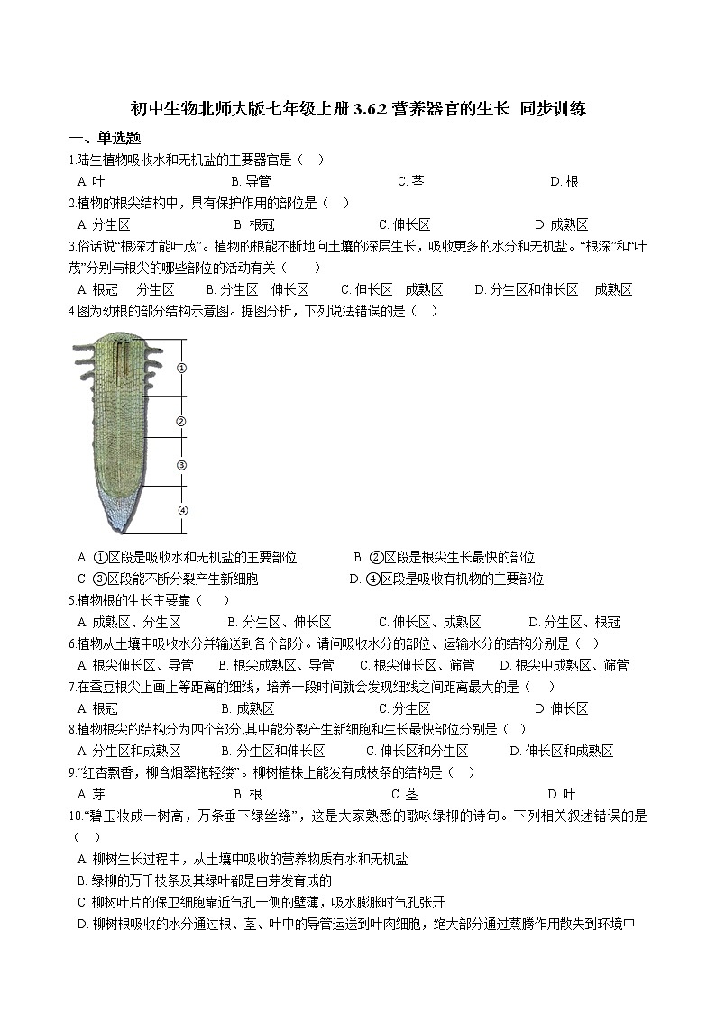 北师大生物七年级上册3.6.2营养器官的生长 同步训练(含解析)01