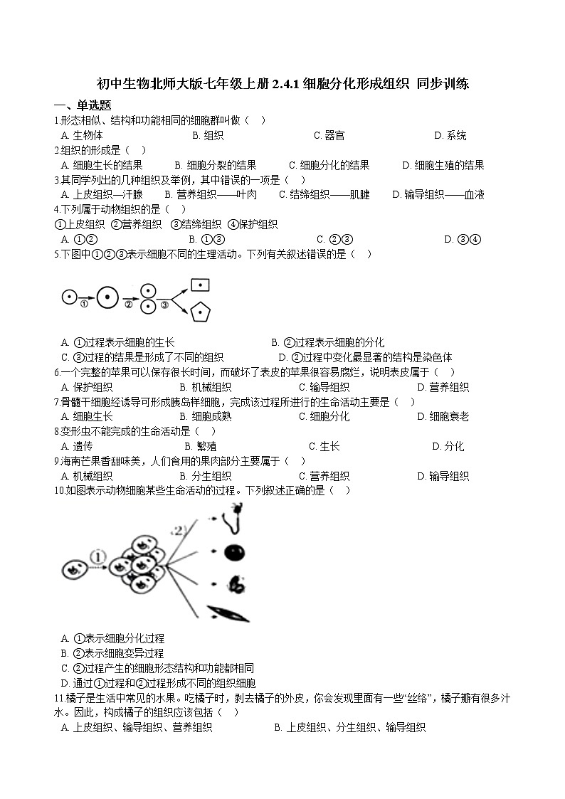 2.4.1细胞分化形成组织 同步训练(含解析)第1页