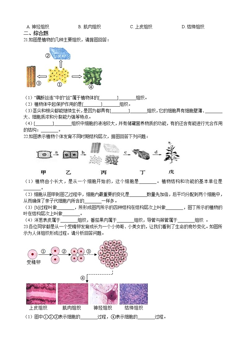 2.4.1细胞分化形成组织 同步训练(含解析)第3页