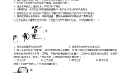 初中北师大版第6章  绿色开花植物的生活史综合与测试单元测试测试题