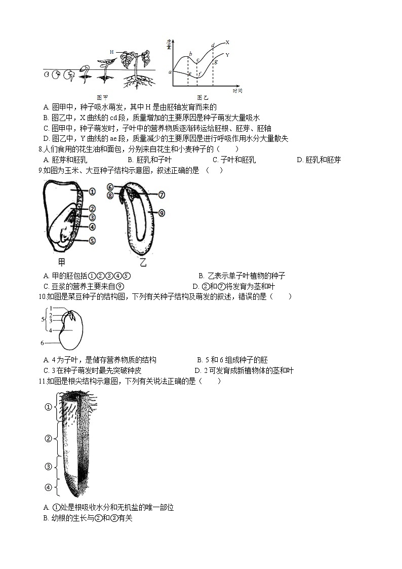 北师大生物七年级上册第六章 绿色开花植物的生活史 单元测试(含解析)02