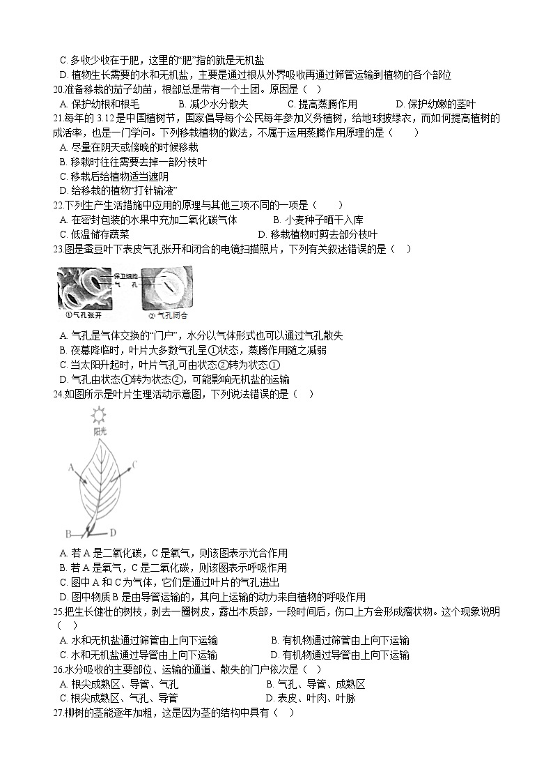 北师大生物七年级上册第五章 绿色开花植物的生活方式 单元测试（含解析）03