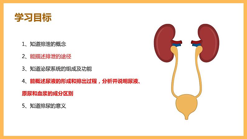 第五章 人体内废物的排出 课件-2020-2021学年人教版七年级生物下册第2页