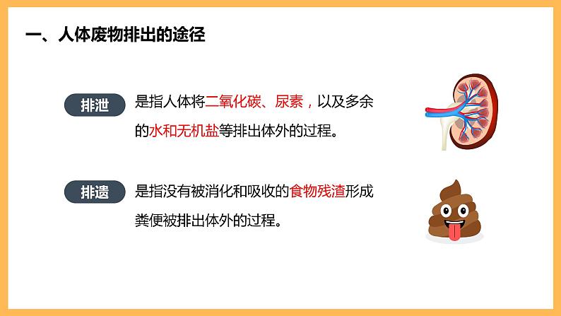 第五章 人体内废物的排出 课件-2020-2021学年人教版七年级生物下册第4页