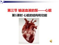 初中生物人教版 (新课标)七年级下册第三节 输送血液的泵──心脏教学ppt课件