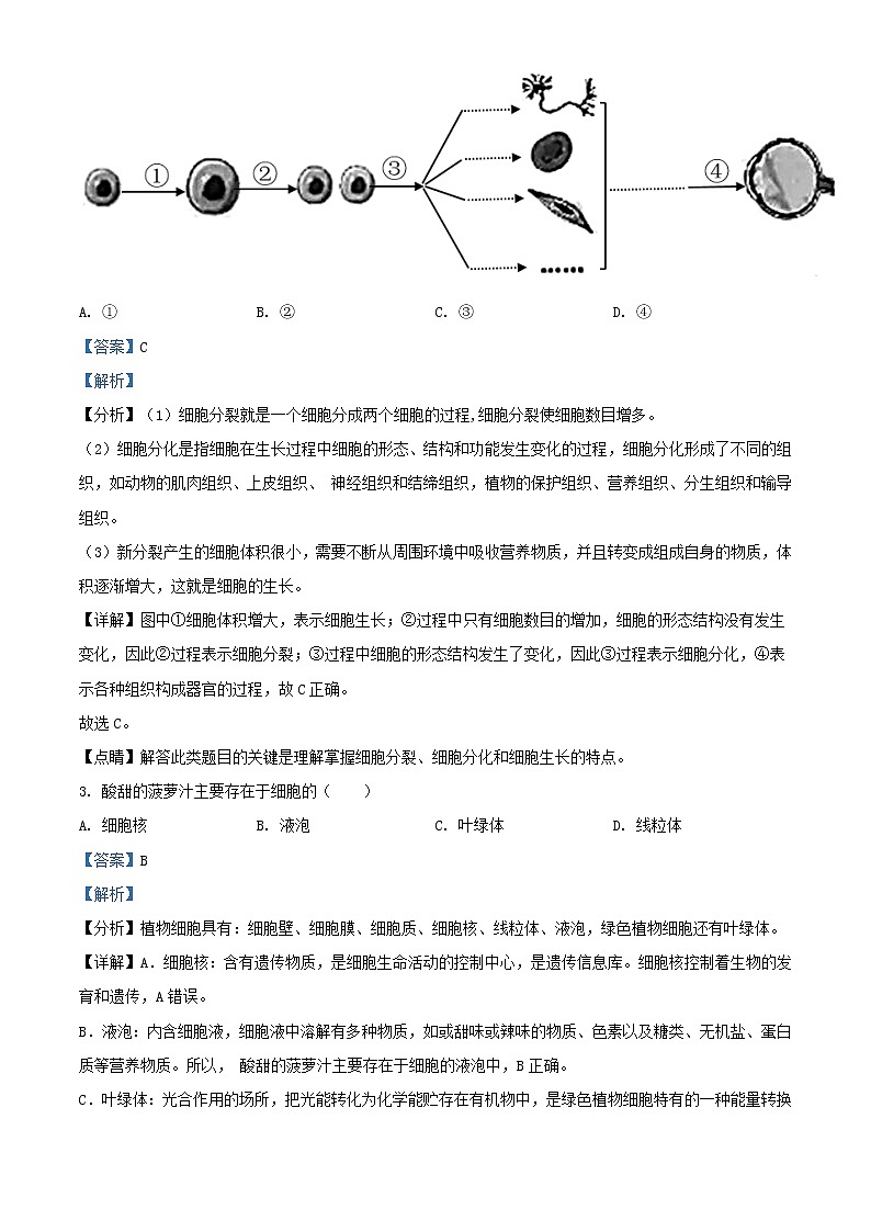 2021年广东潮州中考生物真题及答案02