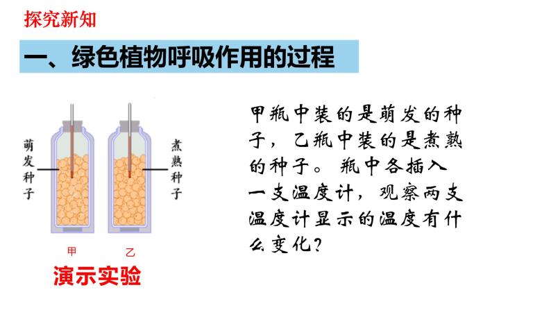 人教版七年级上册生物--3.5.2 绿色植物的呼吸作用 -课件03