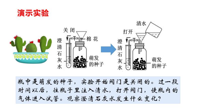 人教版七年级上册生物--3.5.2 绿色植物的呼吸作用 -课件07