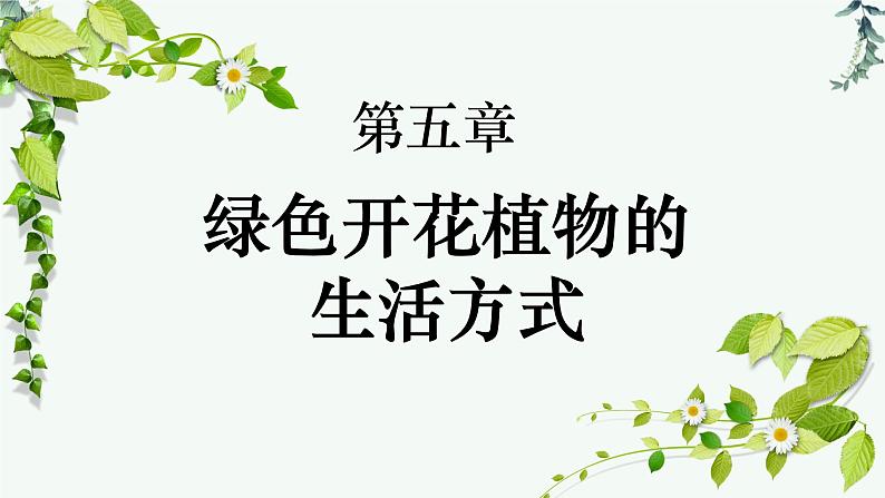 第一节光合作用(从柳苗生长之谜说起)课件PPT第1页