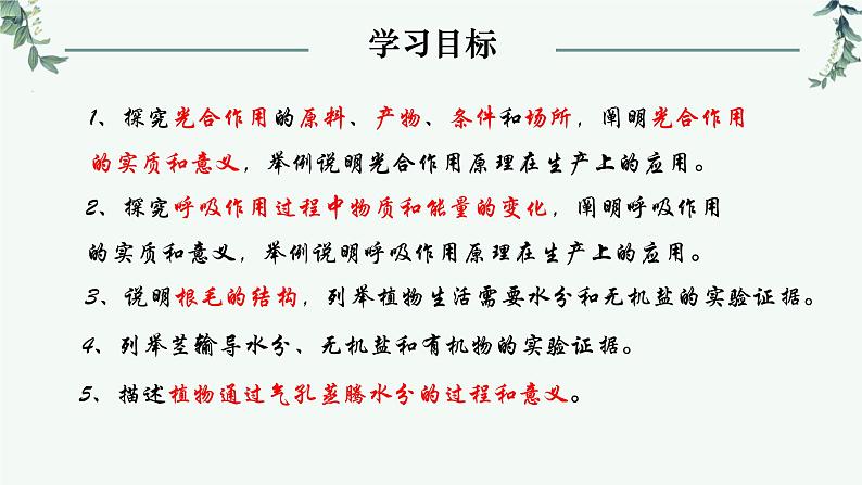 第一节光合作用(从柳苗生长之谜说起)课件PPT第2页