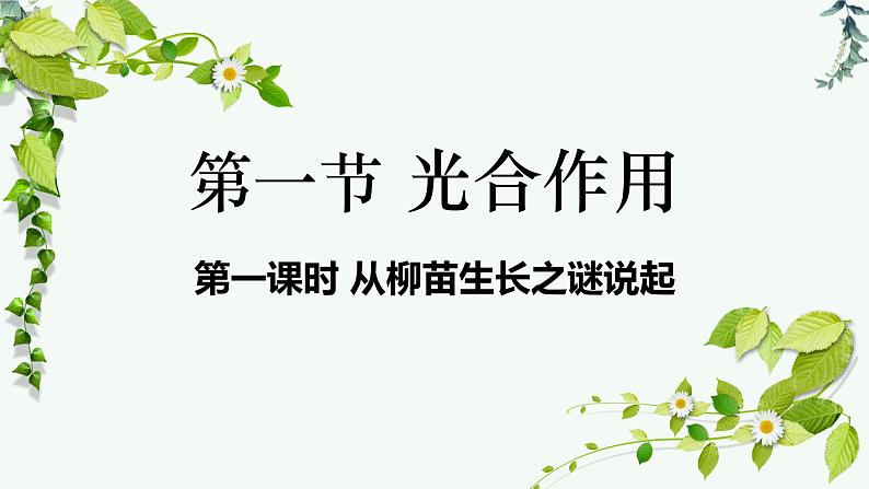 第一节光合作用(从柳苗生长之谜说起)课件PPT第3页