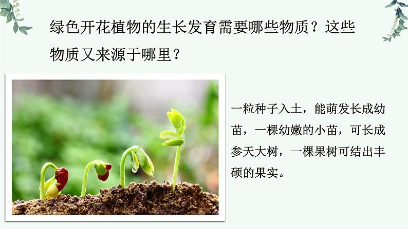 第一节光合作用(从柳苗生长之谜说起)课件PPT第4页