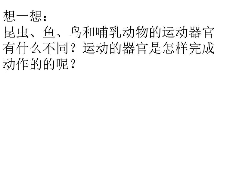 2021-2022 人教版生物八年级上册 5.2.1动物的运动教学课件人教版第3页