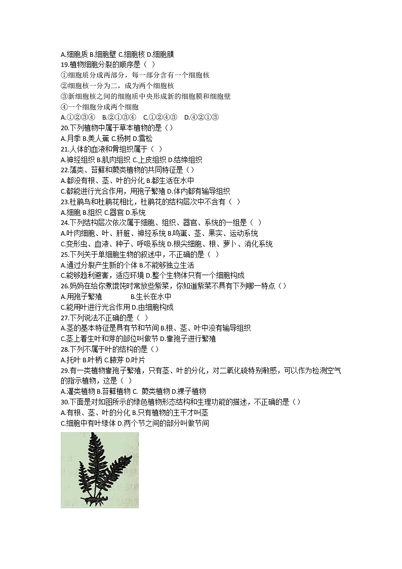 河北省唐山市迁安市2021-2022学年七年级上学期期中考试生物【试卷+答案】第3页