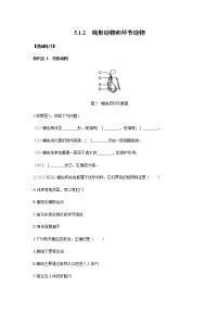 初中生物人教版 (新课标)八年级上册第二节 线形动物和环节动物巩固练习