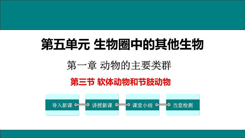 2021-2022 初中生物人教版八年级上册同步教学5.1.3 软体动物和节肢动物课件(25页)01