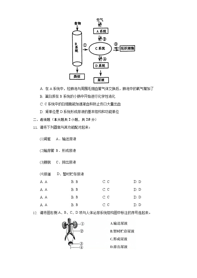 11.2尿的形成与排出   同步练习    北师大版初中生物七年级下册03