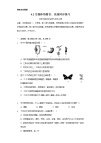 北师大版七年级上册第二单元  生物体的结构第4章  生物体的结构层次第2节 生物体的器官、系统精品精练