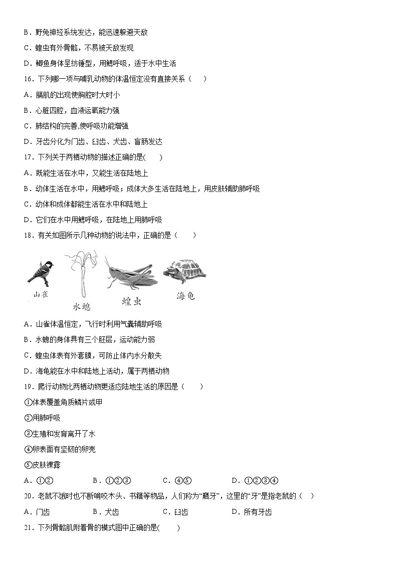 2019-2020学年八年级上学期河北省石家庄市平山县期中生物试题(原卷)第3页