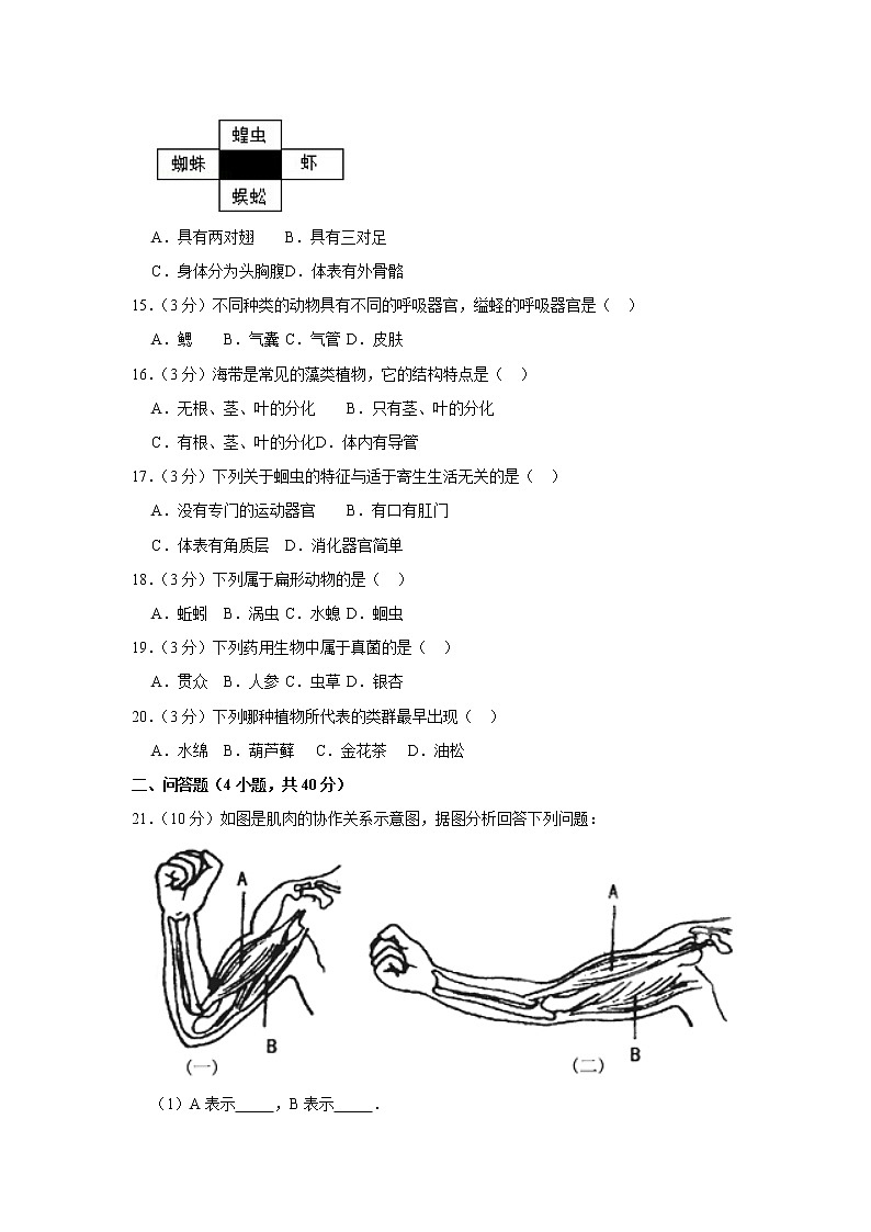 2018-2019学年安徽省滁州市定远县民族中学八年级(上)期中生物试卷与解析第3页