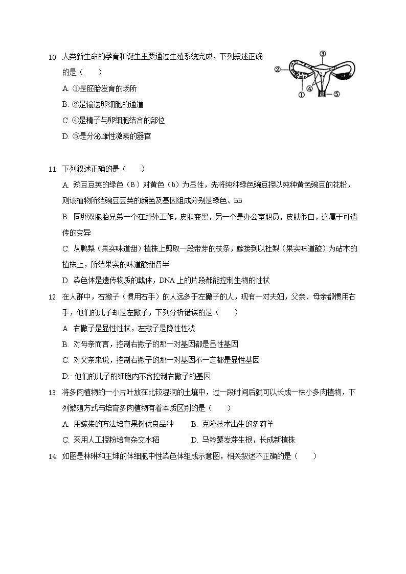 重庆市七校联盟2020-2021学年八年级上学期第一次月考生物试题03
