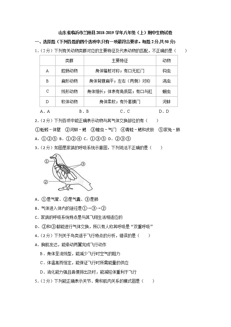2018-2019學年山東省臨沂市蘭陵縣八年級（上）期中生物試卷（解析版）第1頁
