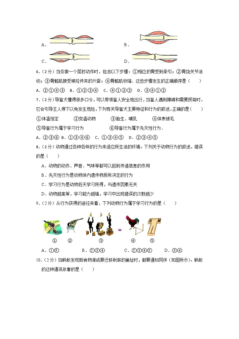 2018-2019學年山東省臨沂市蘭陵縣八年級(上)期中生物試卷(解析版)第2頁