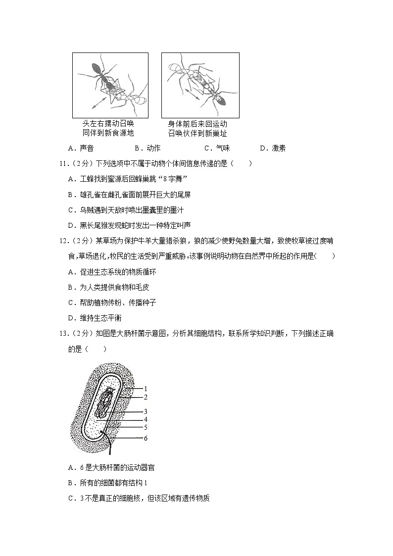 2018-2019學年山東省臨沂市蘭陵縣八年級（上）期中生物試卷（解析版）第3頁