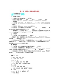 人教版 (新课标)七年级上册第一节 藻类、苔藓和蕨类植物练习题