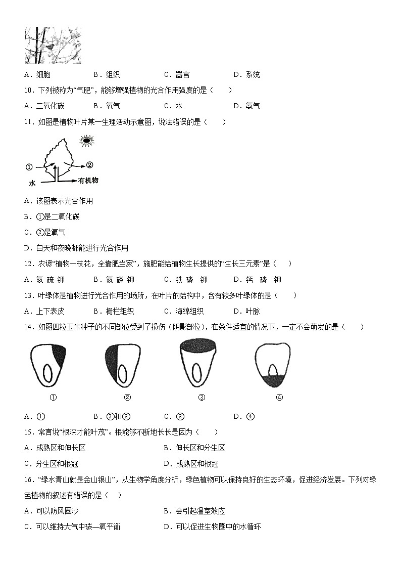 2019-2020学年七年级上学期贵州省铜仁市松桃县期末生物试题(解析卷)第2页