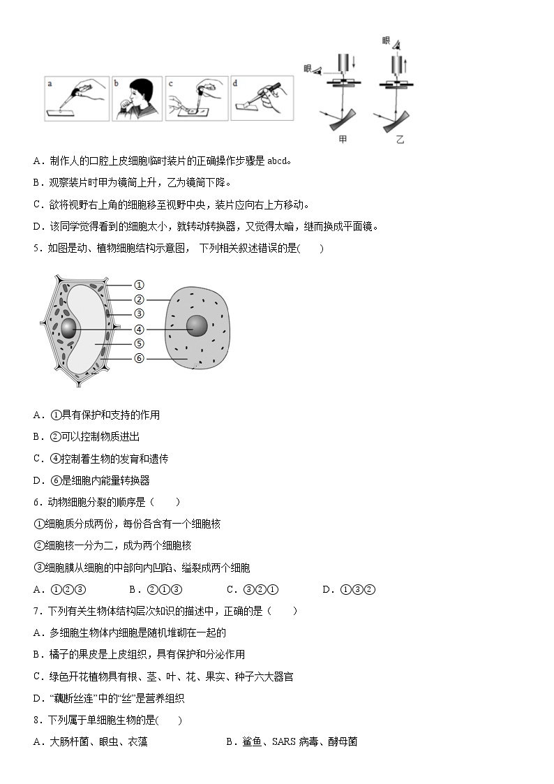 2019-2020学年七年级上学期湖北省孝感市云梦县期末生物试题（原卷+解析卷）02