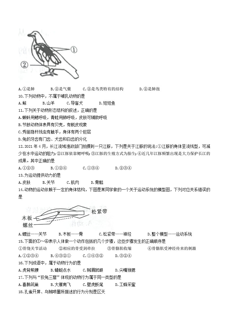 陕西省西安市高陵区2021-2022学年八年级上学期期中生物试题(word版 含答案)第2页