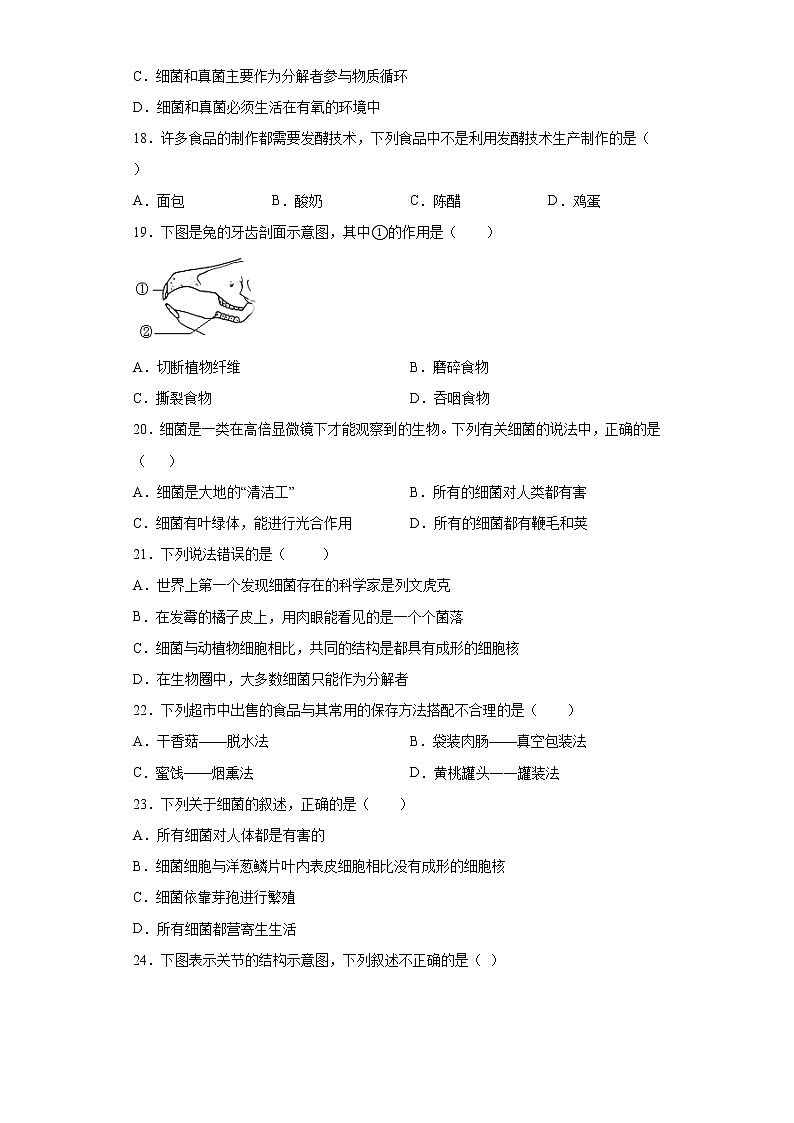湖南省邵阳市2021-2022学年八年级上学期期中考试生物试题(word版 含答案)第3页