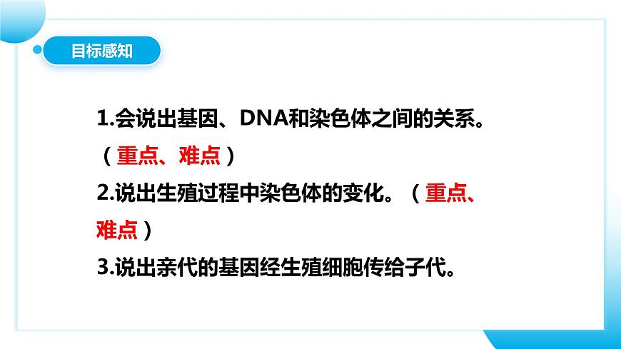 【核心素養(yǎng)目標】人教版初中生物八年級下冊7.2.2《基因在親子代間的傳遞》課件第5頁