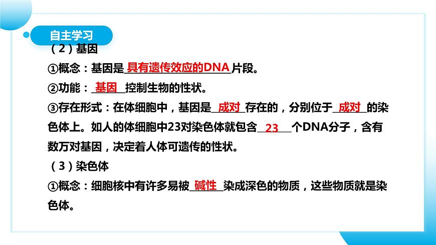 【核心素養(yǎng)目標】人教版初中生物八年級下冊7.2.2《基因在親子代間的傳遞》課件第7頁