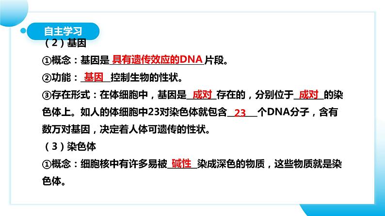 【核心素养目标】人教版初中生物八年级下册7.2.2《基因在亲子代间的传递》课件+视频+教学设计+同步分层练习(含答案)07
