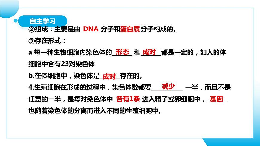 【核心素養(yǎng)目標】人教版初中生物八年級下冊7.2.2《基因在親子代間的傳遞》課件第8頁