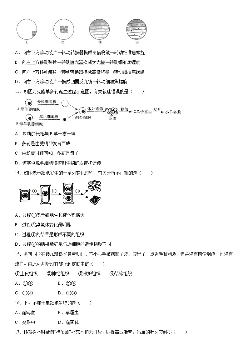 2019-2020学年七年级上学期湖南省岳阳市汨罗市期中八校联考生物试题(解析卷)第3页