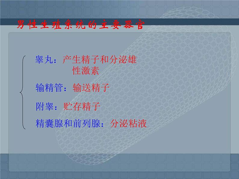 人教版生物七年级下册课件1.2 人的生殖 (1)第3页