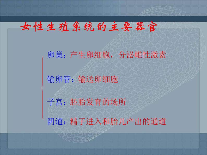 人教版生物七年级下册课件1.2 人的生殖 (1)第5页