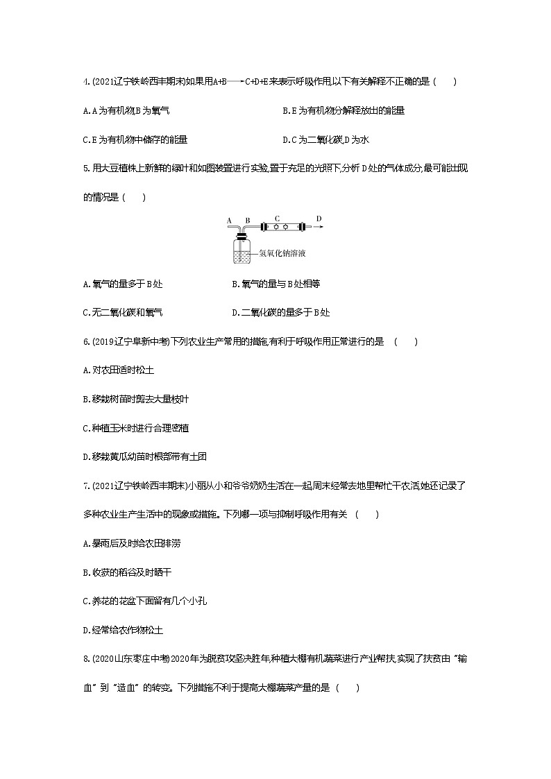 02-第二节 绿色植物的呼吸作用练习题第2页