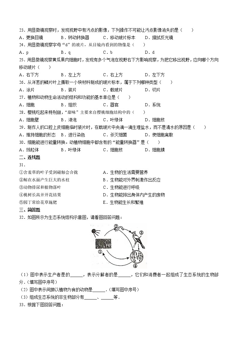 河北省邢台市信都区2021-2022学年七年级上学期期中生物试题(word版 含答案)第3页