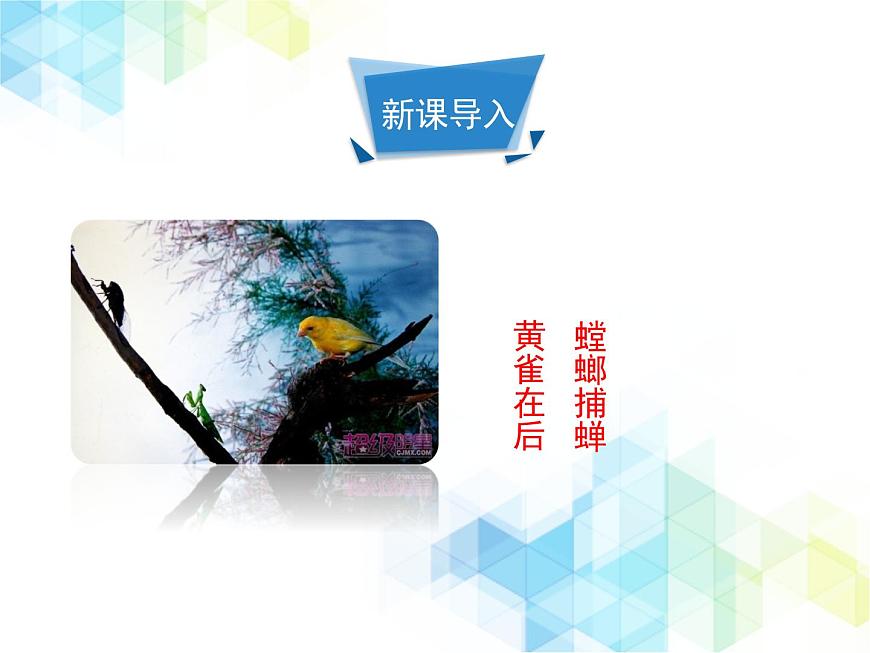 《生態(tài)系統的結構和功能》第1課時優(yōu)教課件第2頁
